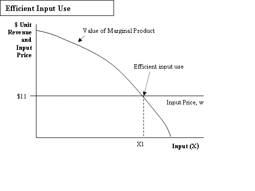 Graph showing that relation between efficient input use, unit revenues and input prices by input quantity.