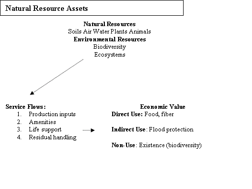 Image showing the value of natural resources as assets.
